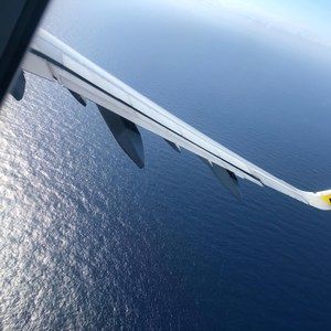 Meet your Posher, Leonal